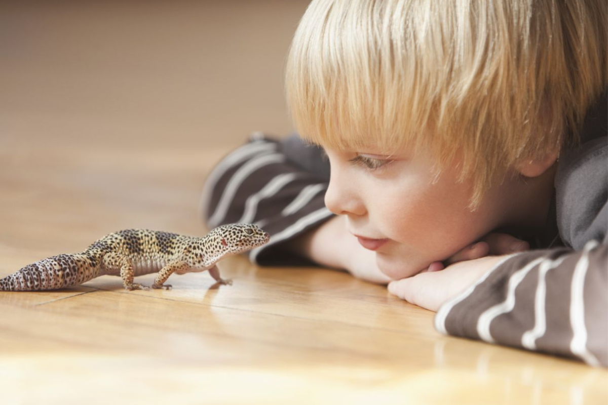 What Makes a Leopard Gecko a Great Pet for Kids?